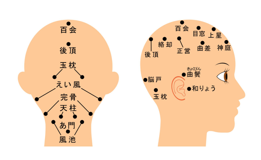 頭のツボ