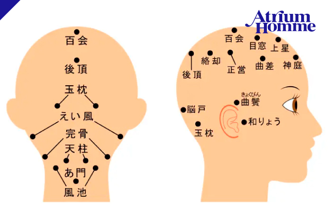 白髪の生える場所には理由があった？ストレスと胃腸、そして「百会」の関係｜ATRIUM HOMME 恵比寿